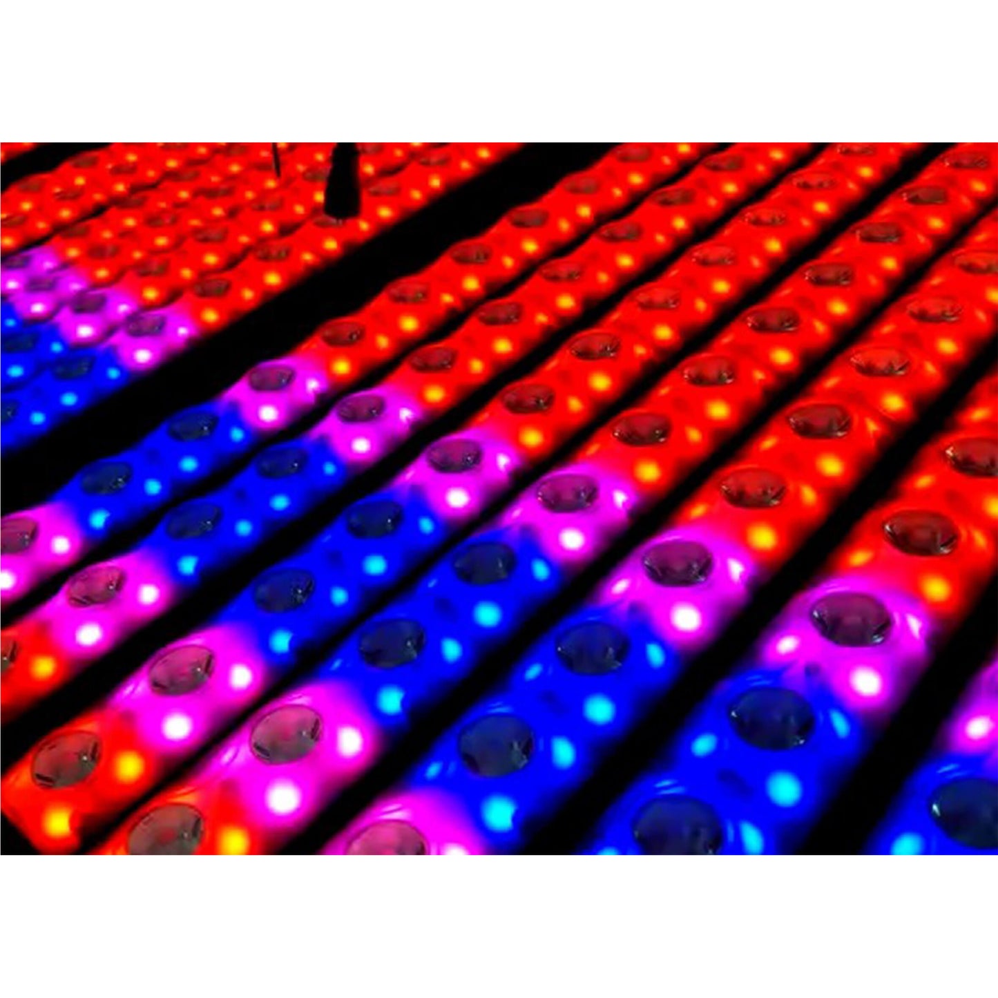 BEAMZ LCB14 Hybrid LED Bar featuring 14x3W warm white LEDs and 56 RGB LEDs, showcasing its design and functionality.