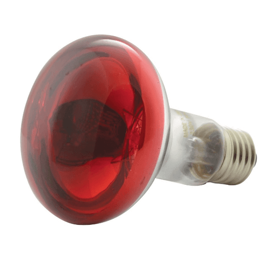 QTX R80-R Colored Reflector Lamp in Red with E27 fitting, featuring a high-quality resistant coating.