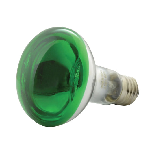 QTX Reflector Lamp in green color, R80 shape, featuring a high-quality E27 bulb with a resistant coating.