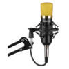 VONYX CMS400B Studio Set featuring a gold condenser microphone with an adjustable stand and pop filter.