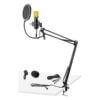 VONYX CMS400B Studio Set featuring a gold condenser microphone, adjustable stand, and pop filter.