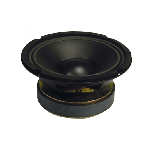 Fenton Woofer PP Foam Hi-Fi 6.5 inch 100W RMS Speaker displayed in a product image.