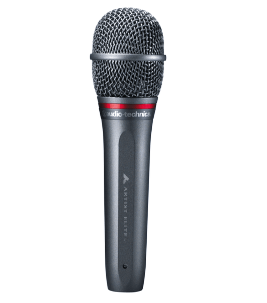 Audio-Technica AE6100 - Hypercardioid Dynamic Vocal Microphone from the front