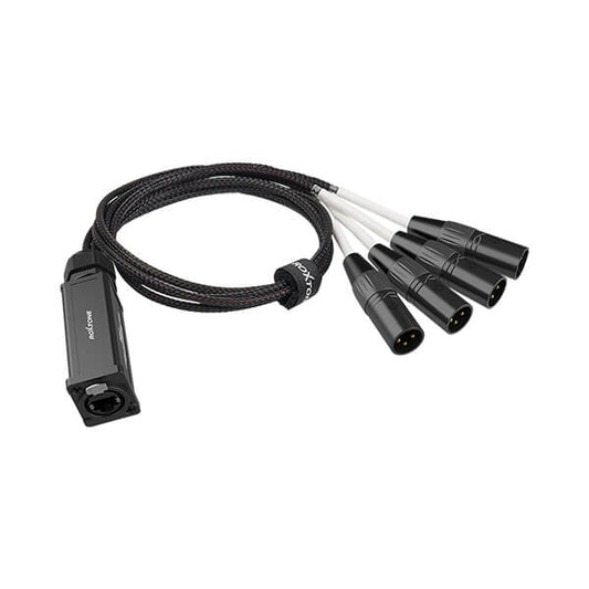 ROXTONE 4 Channel XLR Female to EtherCon Network Cable Snake Splitter Box for professional audio solutions.