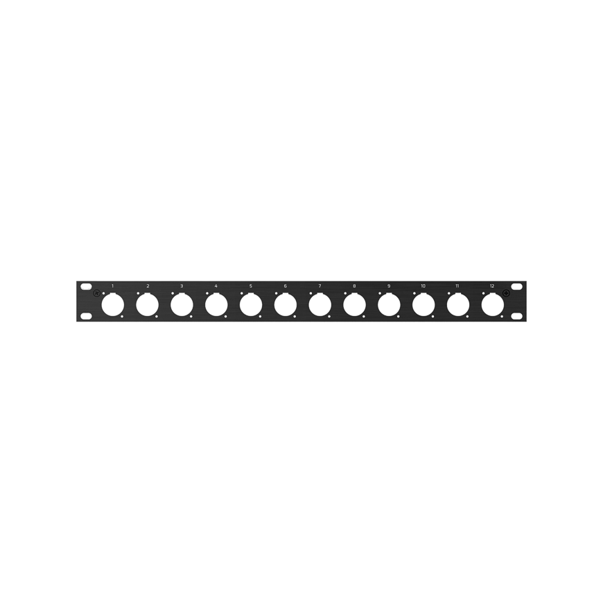 ROXTONE 1U 19-inch rack panel featuring 12 holes designed for D size chassis connectors.