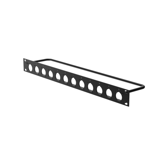 ROXTONE 1U 19" rack panel featuring 12 holes designed for D size chassis connectors.