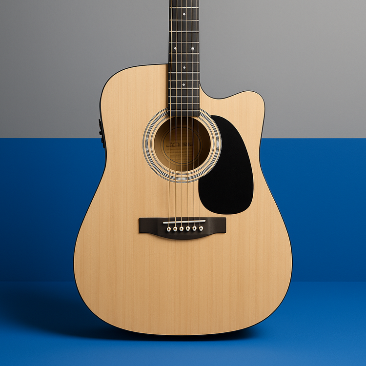 Acoustic Guitars