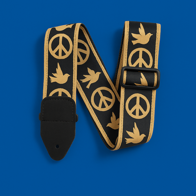 Guitar Accessories