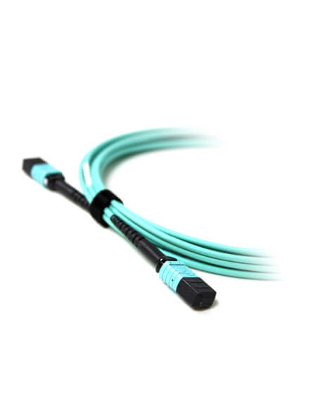Acconet Patch Lead 12Core MPO Female to MPO Female, 5 meters long, used for high-speed data transmission.