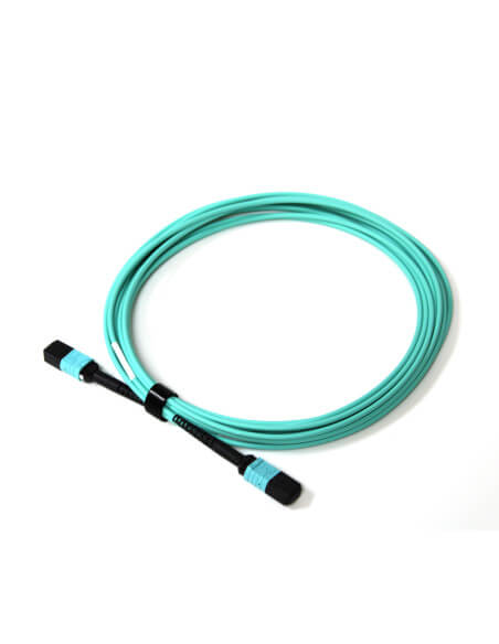 Acconet Patch Lead 12Core MPO Female to MPO Female 5M, a high-quality fiber optic patch cable for reliable connectivity.