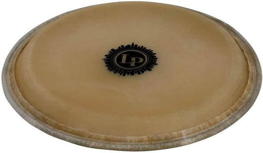 LP City Conga Head, 11 inch, showcasing a high-quality drum accessory for percussion instruments.