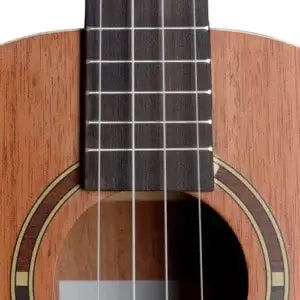 Stagg UB-30 Baritone Mahogany Ukulele displayed with a gig bag.