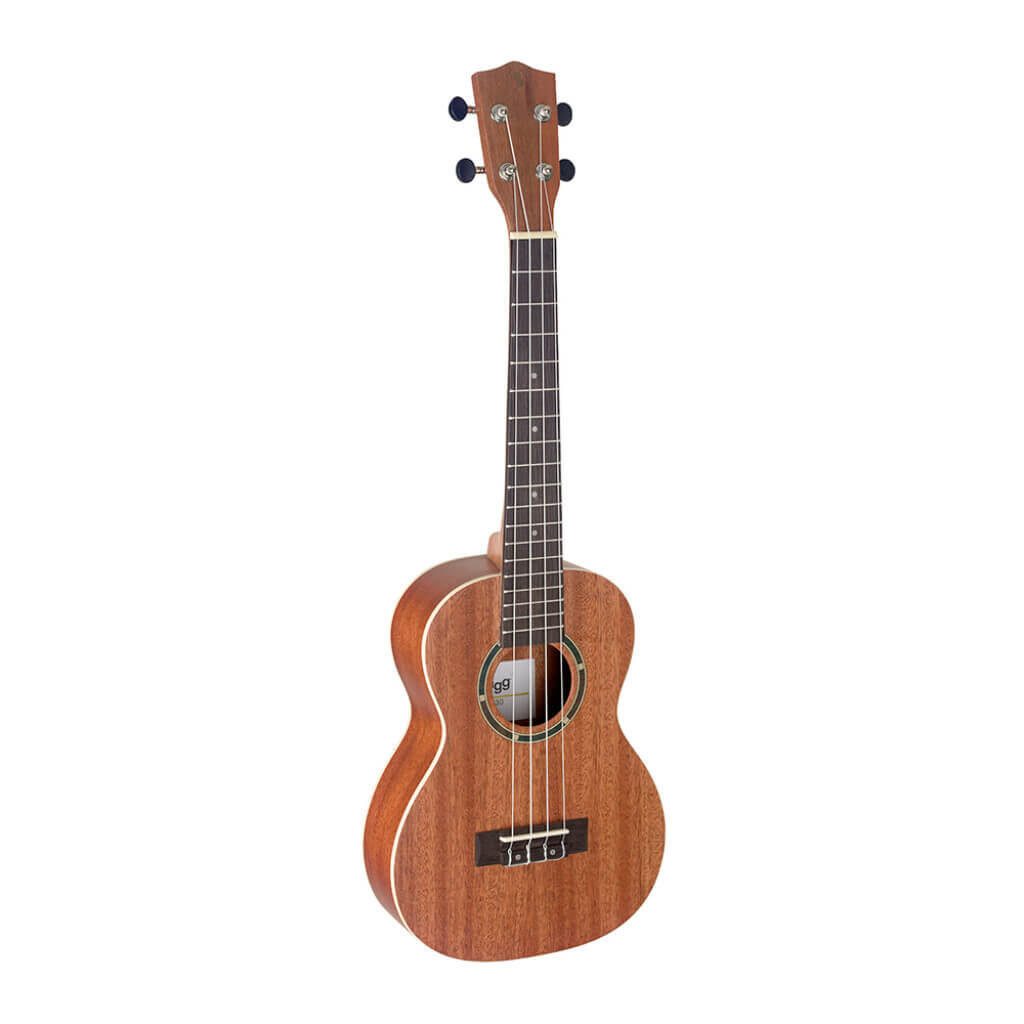 Stagg UT 30 Tenor Mahogany Ukulele displayed with its gigbag