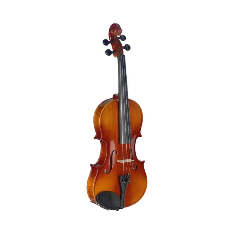 Stagg VN44 L 4/4 size layered tonewood violin displayed with a soft case.