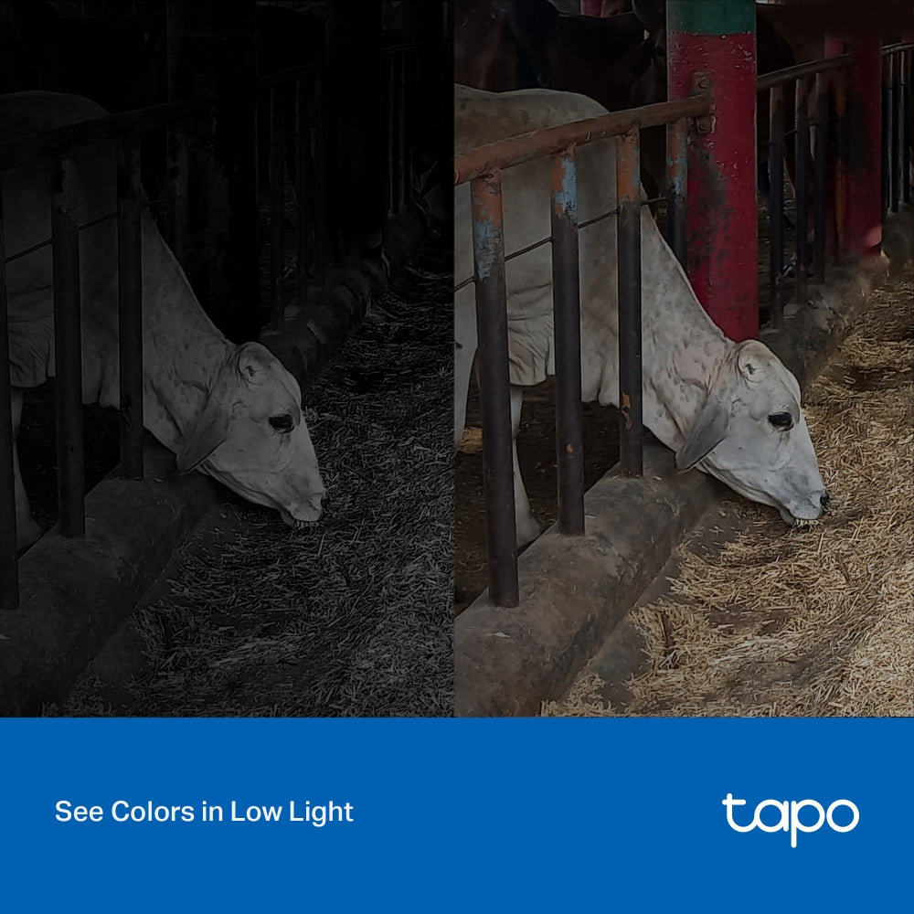 TP-Link Tapo Outdoor Security Wi-Fi Camera